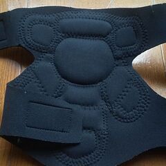 プロテクター(半額に)更に半額にしました。更に無料にしましたの画像