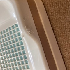 【取引中】トイレトレー ペット 犬の画像