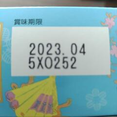 ★訳あり☆限定品★おおきなパイの実　こし餡ショコラの画像