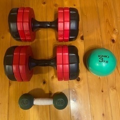 ダンベル　トレーニングボール