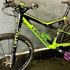 Cannondale の画像