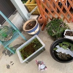 【テラ学び舎】の画像