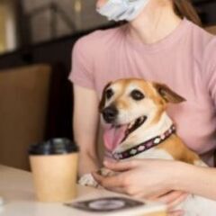 ペット同伴飲食店の店長候補/ペットと過ごせる空間を一緒に提供しま...