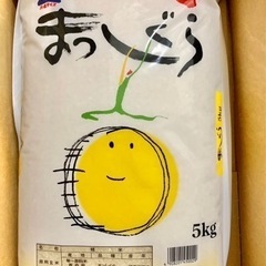 青森米　まっしぐら　5kg 米  お米