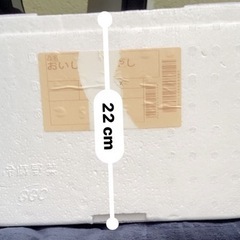 (お渡し済)発泡スチロール1箱の画像