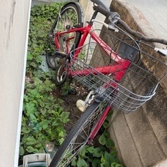 売り切れ！！の画像