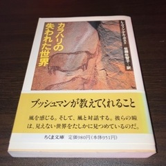 カラハリの失われた世界。