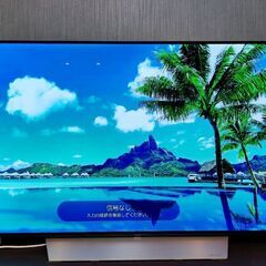 有機EL LG 55型　商談中です