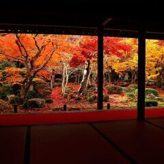 ひきこもり親の会