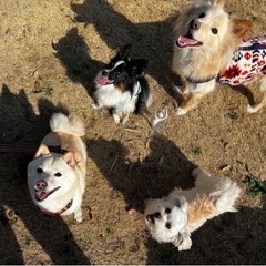 GW最後はゆっくりしよう！わんこイン500円！DOG&MUSIC...