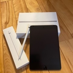 iPad mini 5 256G スペースグレイ ApplePe...
