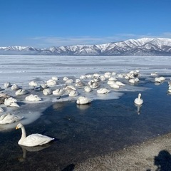 北海道を中心にした旅行YouTubeチャンネルの立ち上げメンバー募集