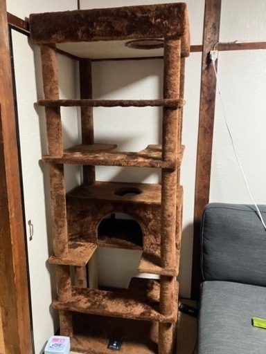 キャットタワー美品