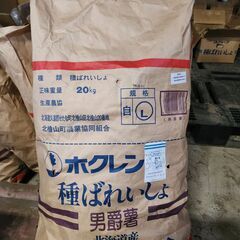 種芋 種ばれいしょ ジャガイモ 男爵 20㎏/袋 北海道産