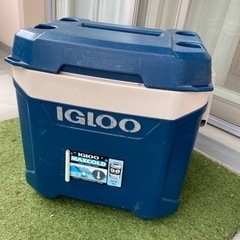 [受け取り中] igloo クーラーボックス/igloo cooler boxの画像