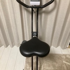 決まりました　ティゴラ(TIGORA) フィットネスバイク TR...