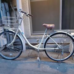 自転車(ヘルメットつき)