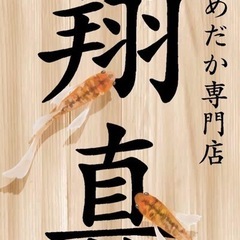 メダカ屋　翔真、現地販売のご案内です✨の画像