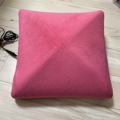 ルルドカバー