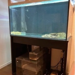 90㎝オーバーフロー水槽セット