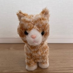 美品　動くねこ　喋る　歩く　ベストエバー　
