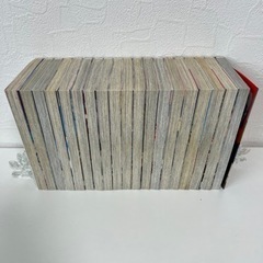 『爆音伝説 カブラギ』全1~19巻 完結セットの画像