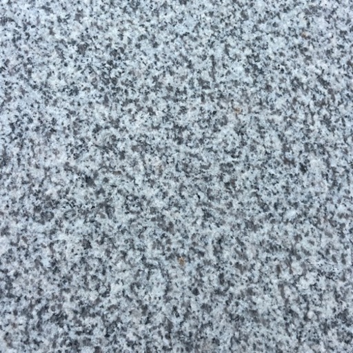 タイル　g603