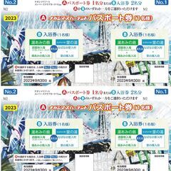 ナガシマスパーランド　パスポート券2枚　有効期限2023年9月30日