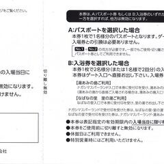 ナガシマスパーランド　パスポート券2枚　有効期限2023年9月30日の画像