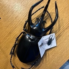 コーカサスオオカブト　フィギュア　特大　カブトムシ