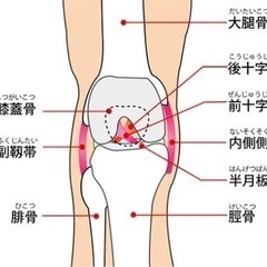 膝、股関節、足首等の痛み