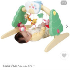 プーメリーの中古が安い！激安で譲ります・無料であげます(3
