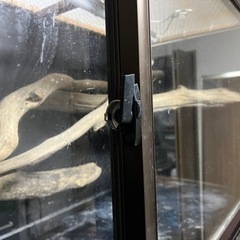 自作　飼育　ケージ　爬虫類の画像