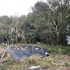 佐世保市東浜町の土地を格安で譲ります✨