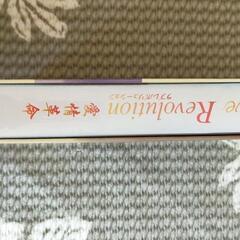 ラブレボリューション　DVDセットの画像