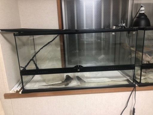 大特価！！グラステラリウム　9045(訳あり)