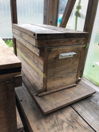 養蜂に興味あるかた、