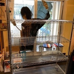 スチールラック　120x188x45 取りに来る人の画像