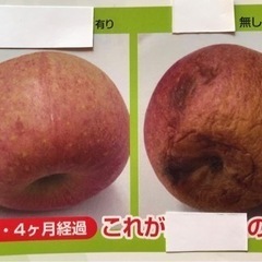 農作物の出荷調整と食品ロス削減‼️