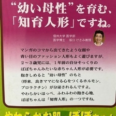 知育人形　ぽぽちゃん　備品、箱付の画像