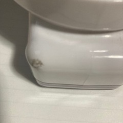 アセチノメガシェイプの画像