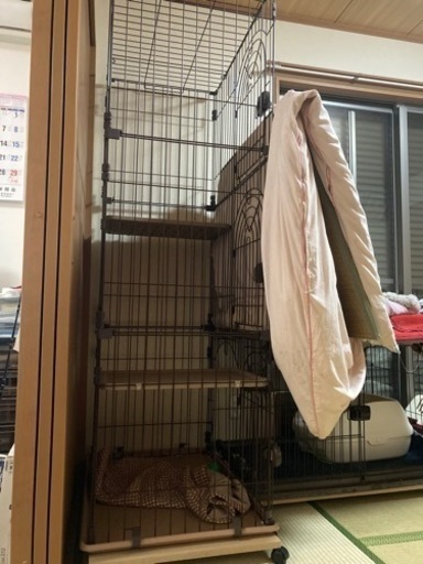 猫のゲージ3段