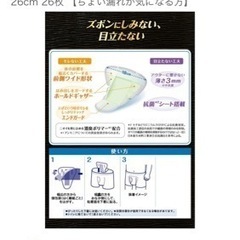 ライフリー さわやかパッド 男性用 20cc 少量用 26cm 26枚 【ちょい漏れが気になる方】の画像