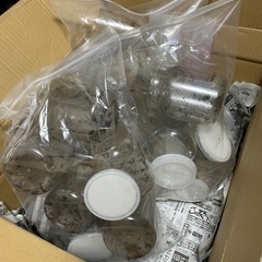 800クリアボトル 18本 クワガタ・カブト飼育用品の画像