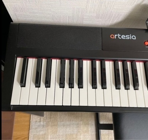 Artesia PERFORMER/BK
