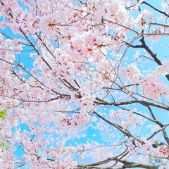秋田出身またはゆかりのある方大募集