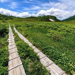 仲間募集（登山、サーフィン、スノボなど）