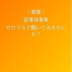 募集します！！