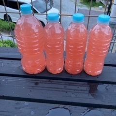PSB 光合成細菌　500mlの画像