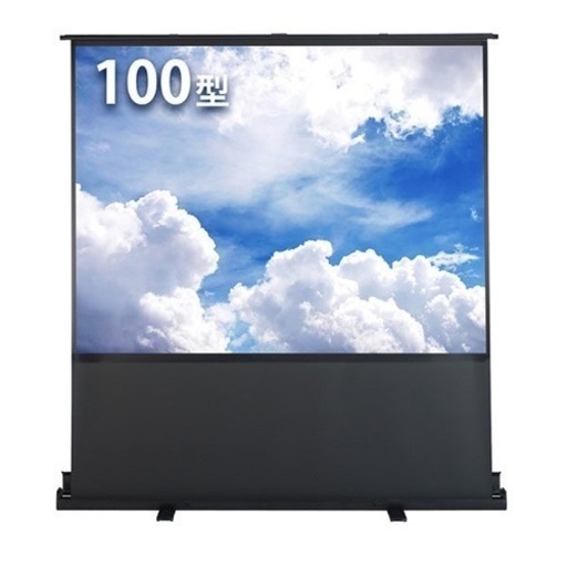 [4月末で廃棄予定]家具家電　大型スクリーン　100インチ